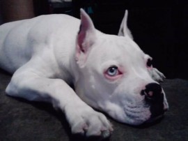 JACK